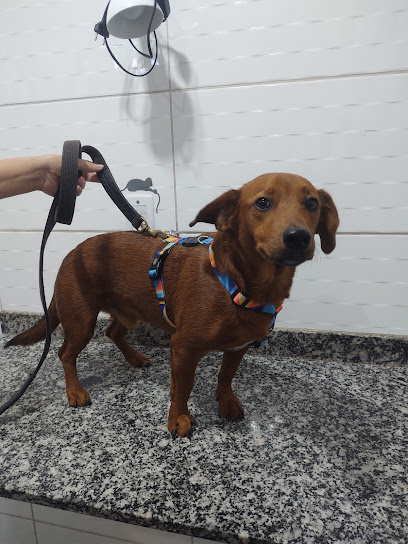 Vivi Pets Consultório Veterinário