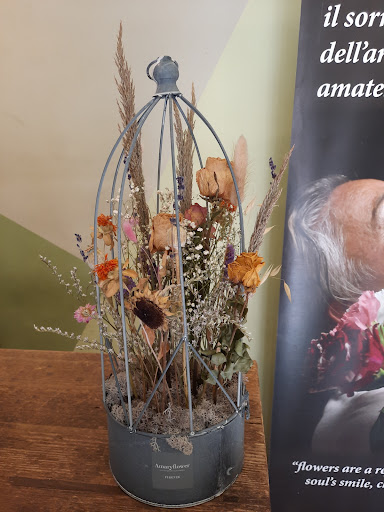 Amaryflower - Visual