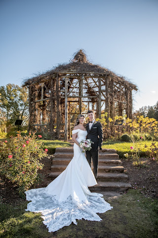 Mariella Creations by null