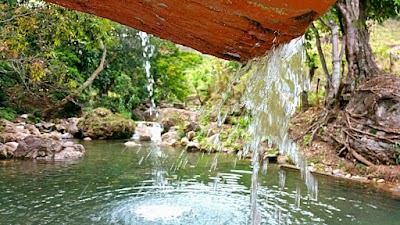 Photos of Balneario y paseo campestre la Sirena