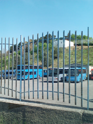 Autolinee Liscio Srl