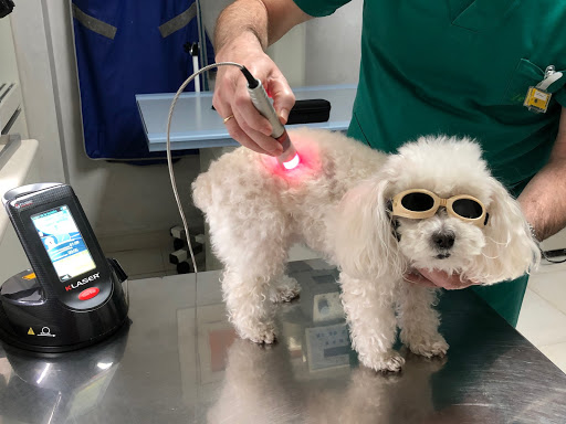 CLÍNICA VETERINARIA PASEO DE LA ESTACIÓN. ABIERTO 24 H.