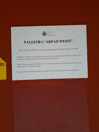 Palestra Arpad Weisz - Thumbnail