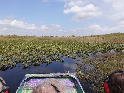 Photos of Alligator Cove Airboat Nature Tours