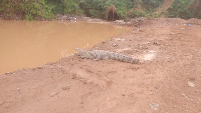 Photos of Parc Bangr Weogo