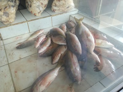 Photos of El Delf&iacute;n