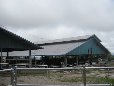 Photos of Gundaling Farm Berastagi