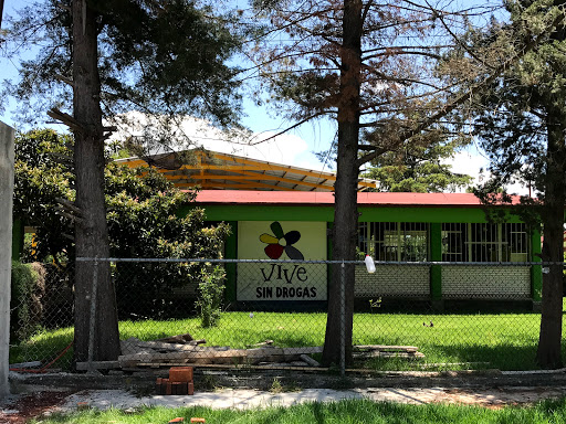 Escuela Secundaria Tecnica 59