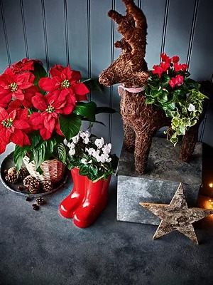 Marks & Spencer