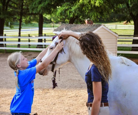 Colebrook Stables - Thumbnail