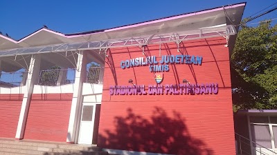 Dan Păltinișanu Stadium