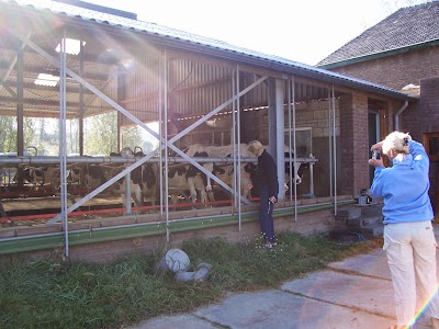 Photos of Groenendaal
