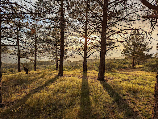 Big Pines Scenic Route - Thumbnail