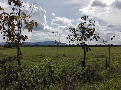 Photos of Y Cancha Multiple Park