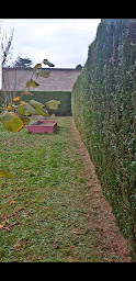 Photo n°11 de Entreprise foxtone à Louviers (Jardin)