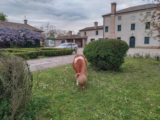 La Corte i oca B&B - Thumbnail