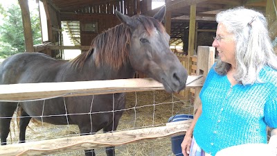 Liles Acres Organic Farm