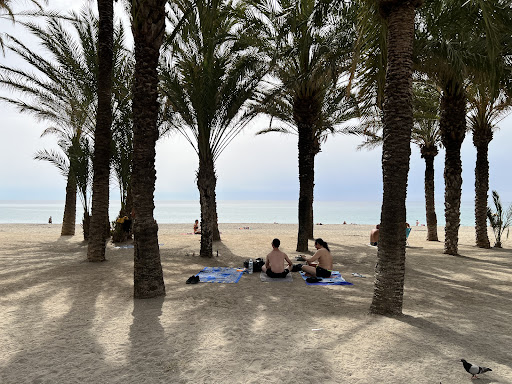 Palmeral - Visual