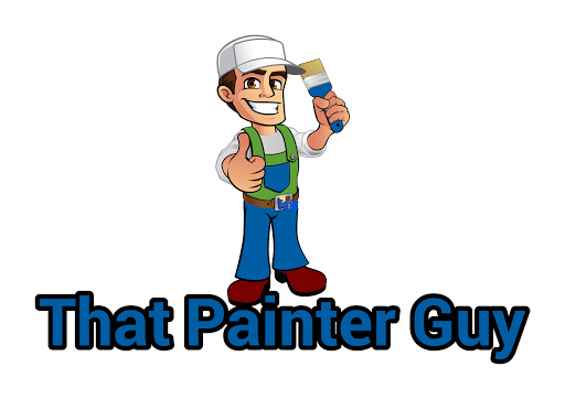 That Painter Guy - Visual
