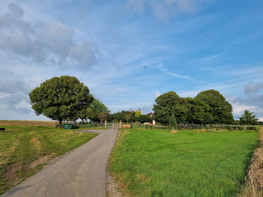 Friedhof Grattstadt - Visual