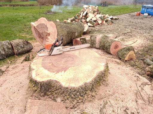 Photo de MONREAL PAYSAGES & PISCINES à Puellemontier (52220)