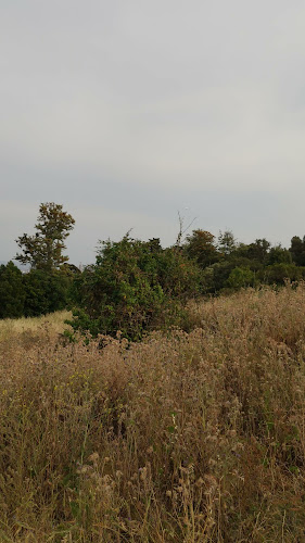 Parque Florestal de Monsanto Número de telefone