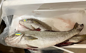 Photo n°31 de Restaurant L'Espérance à Bandol (Restaurant gastronomique)