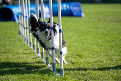 Garbogaard Hundesport