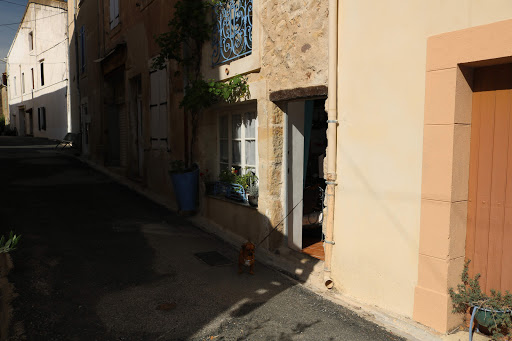 Maison des Fleurs