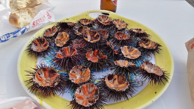 Bar Alimentari Tabacchi da Carlo