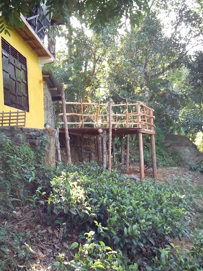 Photos of Aelam Garden Homestay