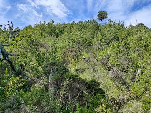 Monte Alkoskoa Mendia - Thumbnail