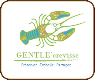 Photo n°2 de Gentlecrevisse à Aÿ-Champagne (Association bénévole)