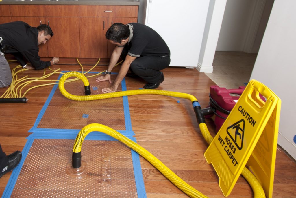Water Restoration Houston photo