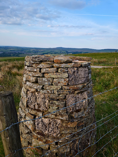 Singing Ringing Tree - Visual
