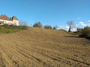 Photo n°2 de PG Débroussaillage à Nousty (Service d'élagage)