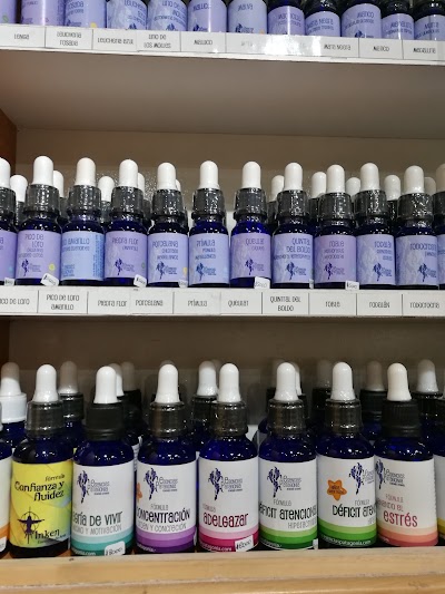 Photos of AJNA OM TIENDA
