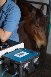 Photo n°2 de Equus Dental Harmony à Rochetaillée-sur-Saône (Dentiste)
