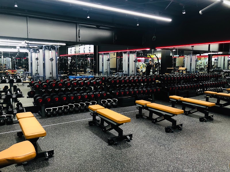 RexxFitness 東みずほ台店-レックス フィットネス