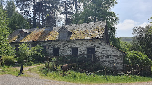 Gilfach Nature Reserve - Thumbnail