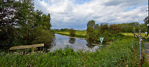 Mario Paufler Immobilienmakler