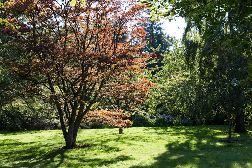 Minstead Study Centre - Visual