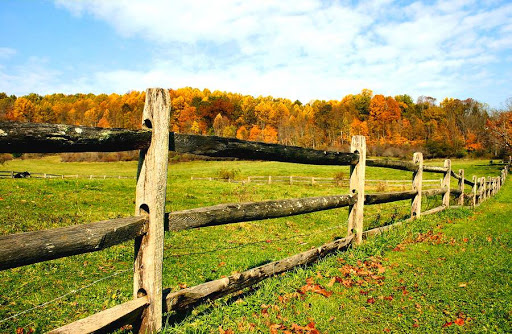 OxenHouse Embroidery
