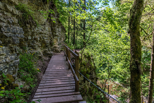 Schluchtensteig Schwarzwald Gallery - Germany