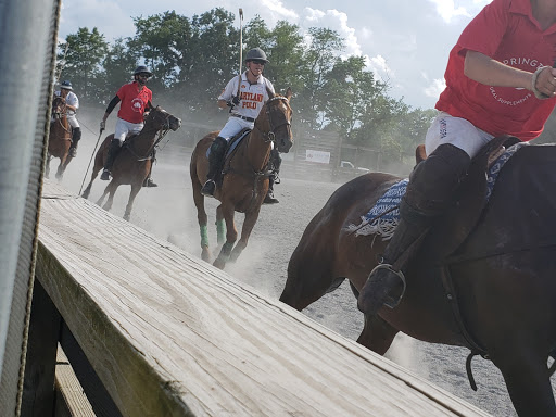 Maryland Polo Club-Elkridge Harford Arena - Thumbnail