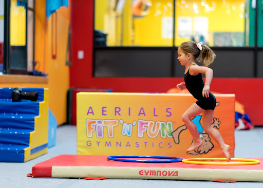 Aerials Fit N Fun - Thumbnail