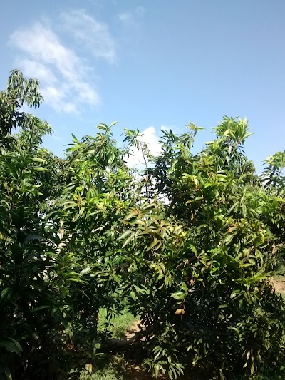 Photos of Finca Los Mangos