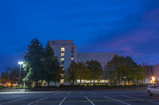 British Library - Visual