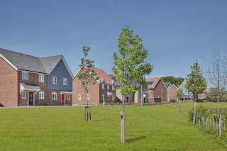 Countryside at St James' Park - Countryside Homes