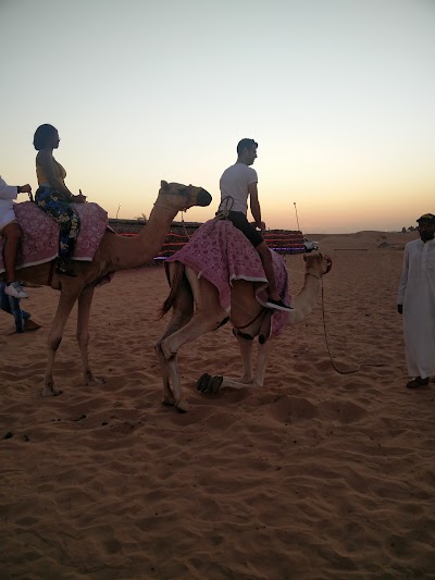 Photos of Dubai Desert Safari - Oasis Palm Tourism